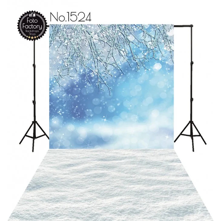 Studio backdrop 1524